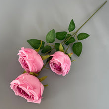 0c846e9ba5f8e4833febefeb0606be67