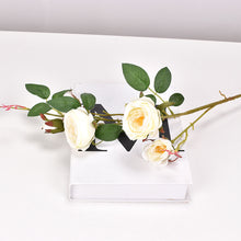 f3137655870fdfcdd16ff8d0eccc4ea0