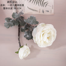 e9a24d54dc54b64cff82c27ef2837eee