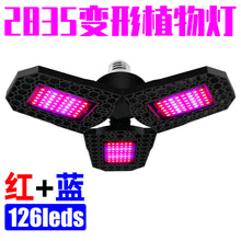 05dfb2581ee35171930258c22d040fc1