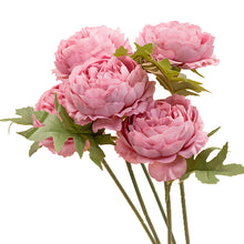ff98a9a992c1f89da47f9fc7d1b931c9