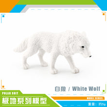 f556246a8650f3ada8d75bfaf02b56d8