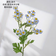 cef12e759d750c51b99e6d85db69d688