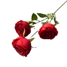 882d58bb56fc2adaf5a25acac504d33b