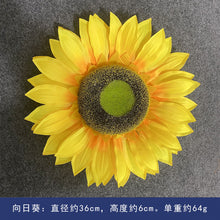 531f419d8dd217c43a8088abe1bda974