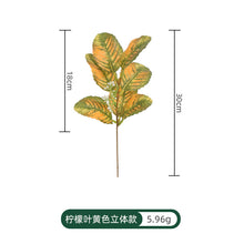 f74506b04a3ffada5e86cc98e5d50259