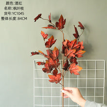 14aa0313faf787301e90dec9cc757ccd