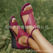 1dbc02ae409732f8cbe5cb35f452f946