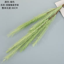 1e35342ceeedbf2626a0072e85364db3