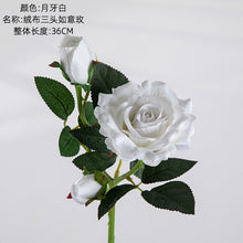 fe815fdbdd692dc46745d8e8481d37f1