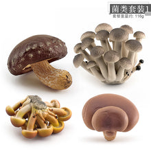 74157f51be3943507dbd0b189e5368cc