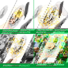 2d74adc935d4850296282dad5509dee4