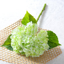 3c2cfa3f828fa82907831f9531b669f8