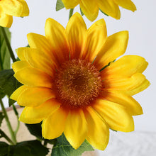 ff49038141c6b4703f64453dce318565