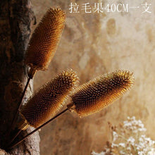 48d539a8ec71ce934016c3e624ae146b