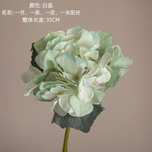 f5882d048fa699721ad7d59fec1139ae