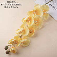 97d978a9718266f3e02bf6a17c5de49a