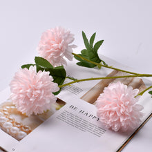 d9d6a8d331adeb1aaf82048443f5bf4f