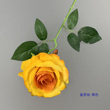 409a159ae59022994f991fdf00927c17