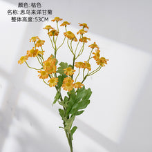 c363f36b356cbdf3a9831117a952b0b7