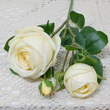 25eae78d1ab00906be869b7838acc390