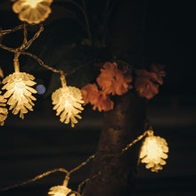 a6f548bd306bf206027adedcd560cb05
