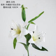 a4a7d8761b55bdf1066f5002efd8a488