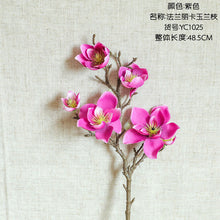 c9868c263c00dd833a5af53556b0eaac