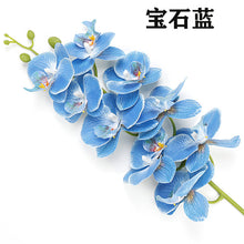 987fac5786db75651b4d4161bc0f3ae8