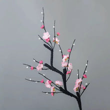 e9681a8b045952eb2d1859e3401c002f