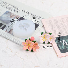 cd5d5579cc47261e15bad06247a5f46e