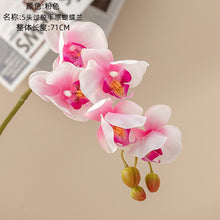 fe6b5a83a13cfe684d9b889cb72fd6b8