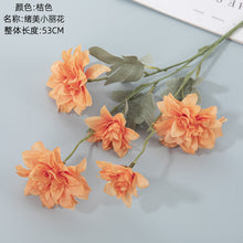 cb65295bd9ff8634b0224bfcc4d2ed2e