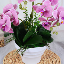 cf2934831128495719091cd2bee69fab