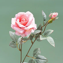9269f910969eb04d7bcc9bb928040cad