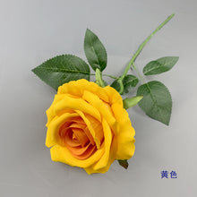 4c6ccbc85a1421bb5cafc04cb560df15
