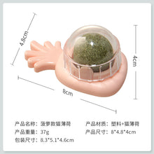 987ace3677eb7838bbdc13947007330a