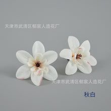 a5fcf11378c184e45cf5f0c4b03b1e1b