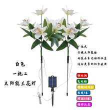 b07348d85aa78dbe3d60952e438bac9f