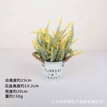 f982c9ba78f73c78a0e431b49cb57a87