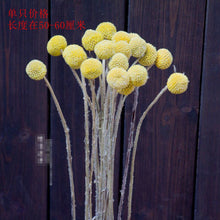 d17b942c4c73ff16da72bcd104275b21