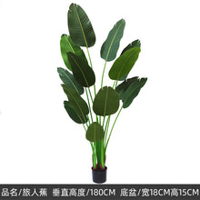625273c366d189f586c4c55d676763a4
