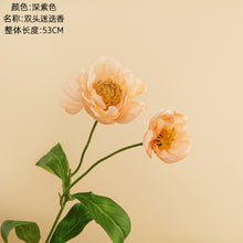 6ab2d4845c86781900f0ec7ec343381f