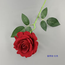 d0ebce535501b9c78795e7680f9fa991