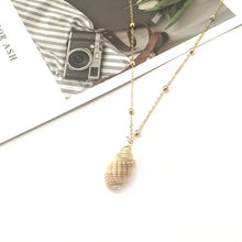 813e5fc52874eb62d79270621742b20b