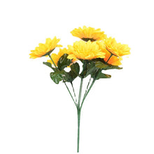 c2d3e42e4842dc5364e32dfbb376a6bb