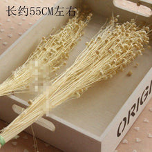 3bf536d028ca1abb46ebb6d9497ad35a