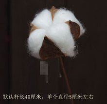 a678227217bfa2201077f8e56bb356dc