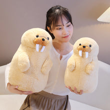 39f33311fdb5ec9ce607c8d4c3c9138e
