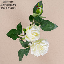 775bbf215084c07ae38441737b9bbd7b